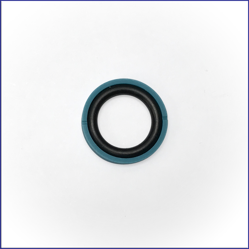 ACS00979