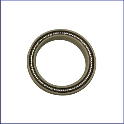 ACS01373